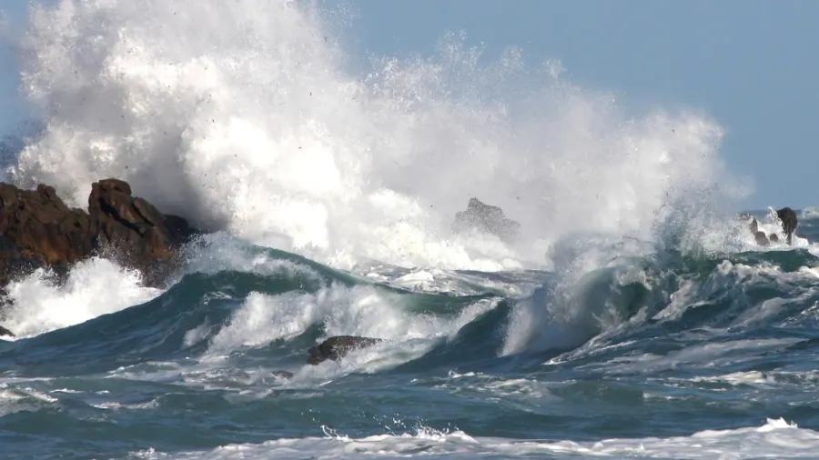 stormy sea and waves