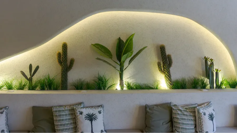 stylish decor cacti and plant accent living wall niche curved
