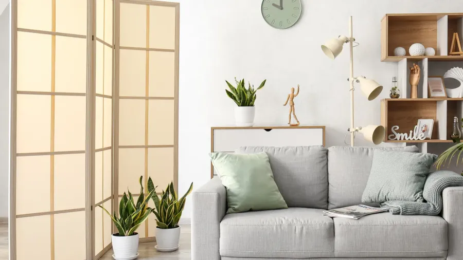 stylish folding screen near sofa in living room interior