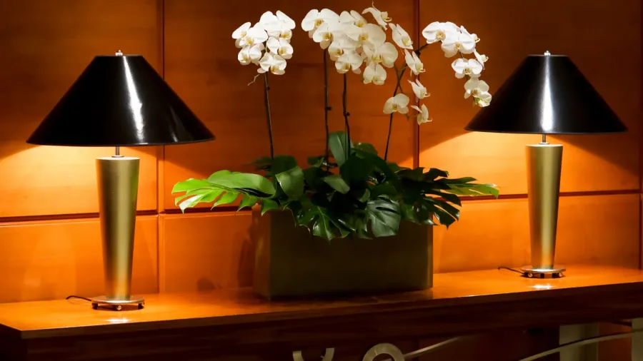 stylish interior decor