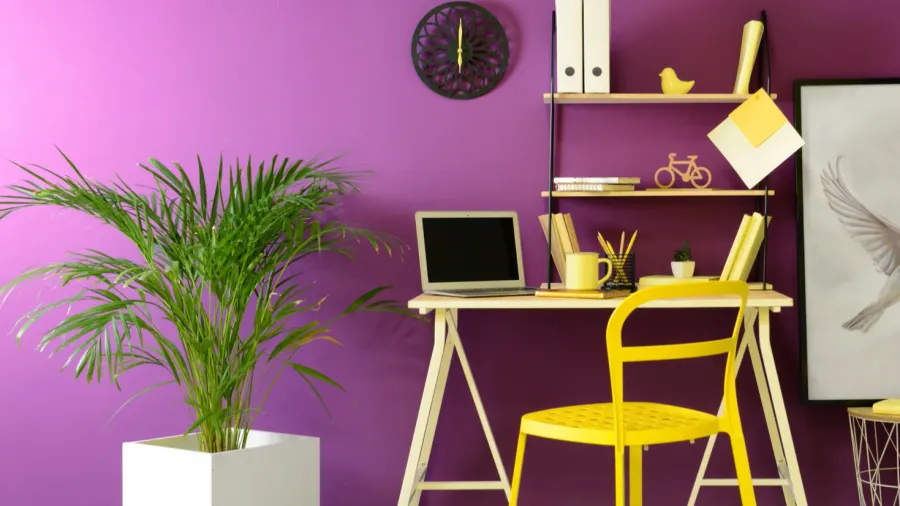 stylish workplace with modern laptop near purple color wall and yellow chair