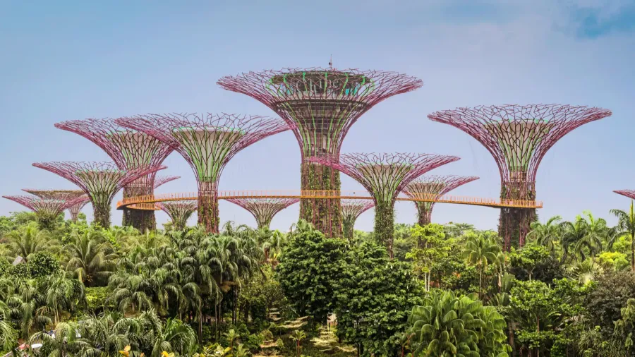 supertree grove unique vertical gardens resembling towering trees with large