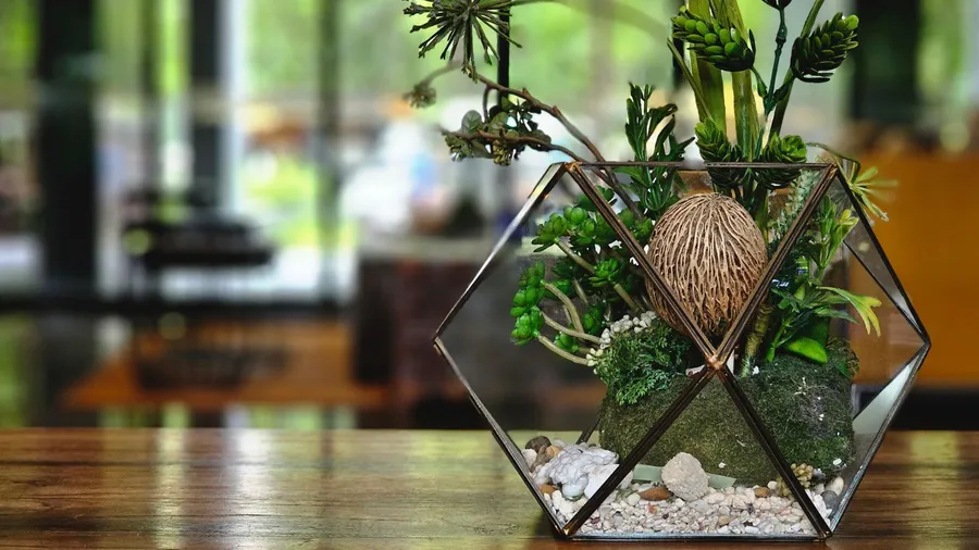 A terrarium on a wooden coffee table.