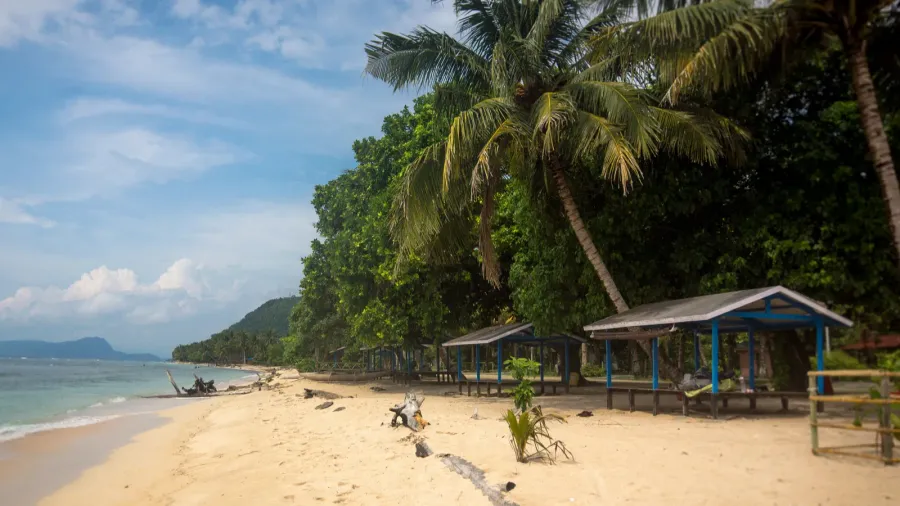 the beach in papua new guinea
