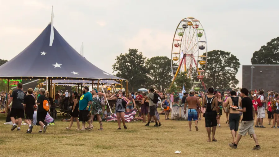 the bonnaroo music and arts festival  crowds