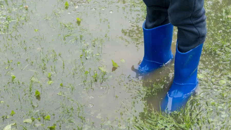 the child stands in the garden in the water feet