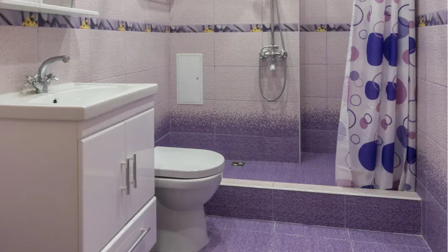 the interior of a bathroom with wc