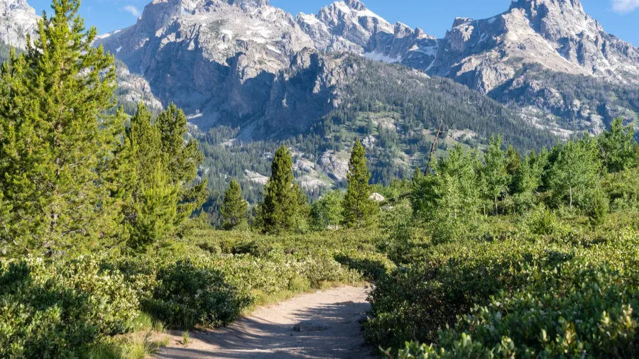 the majestic grand tetons mountains as seen from the taggart