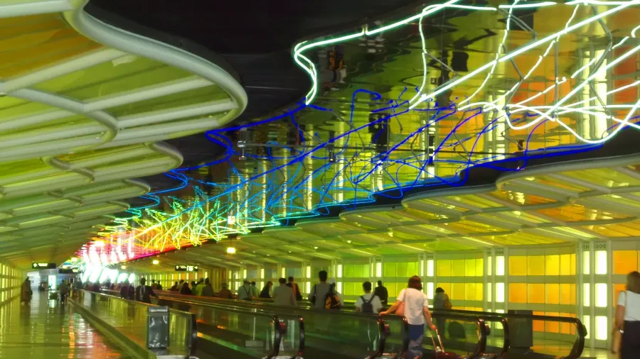 the neon lights