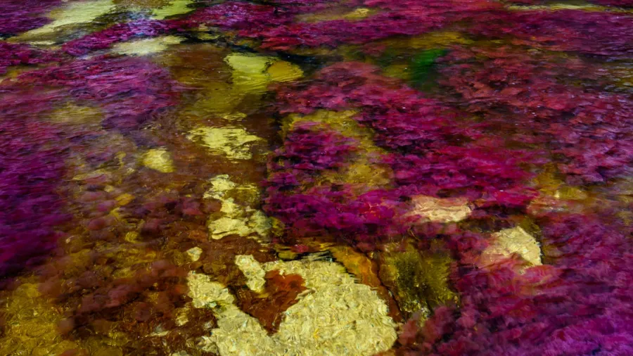 the rainbow river or five colors river is in colombia