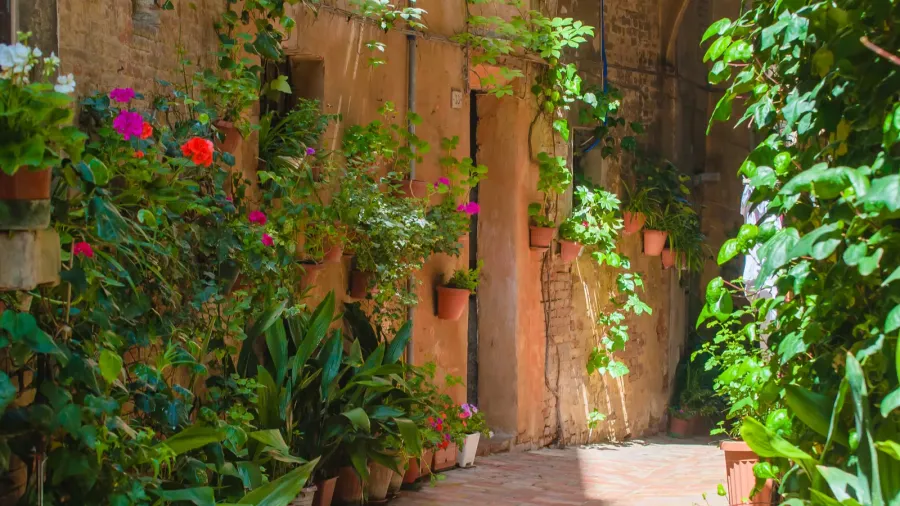 the streets of the old italian city of siena