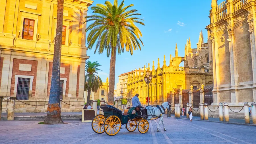 the tourist carriage rides in old town of seville spain