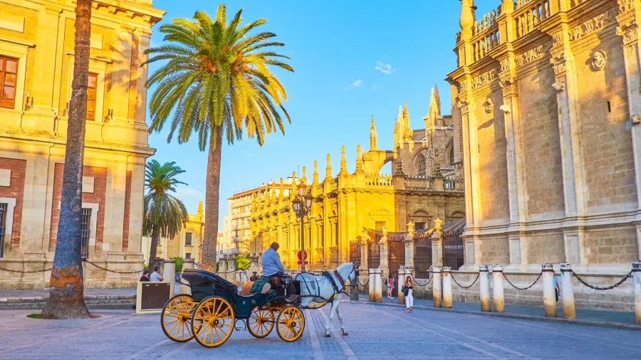 the tourist carriage rides in old town of seville spain