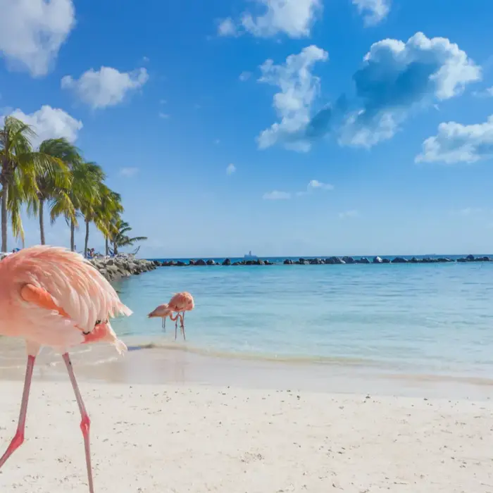 Weather-smart Caribbean escapes after recent storm disruptions