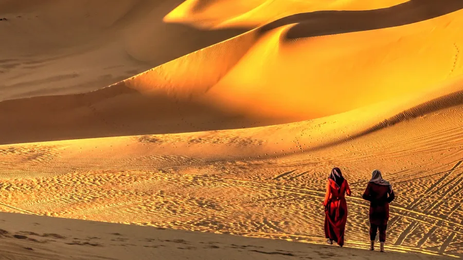 timimoun algeria  march 2016 saharan desert in sunny weather