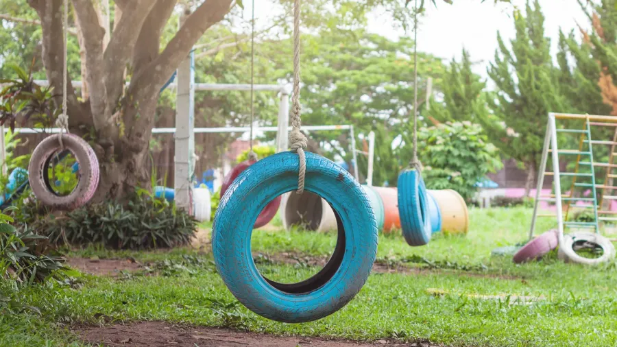 tire swing hanging from a tree in the playground