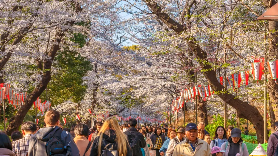 tokyo japan  march 31 2020 tourists walking down the