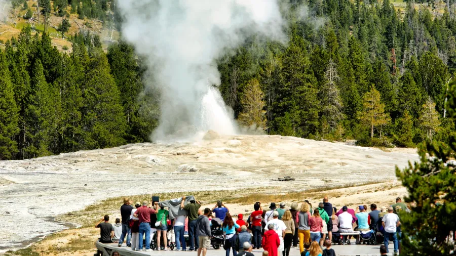tourists gather to see the old faithful geyser erupt in
