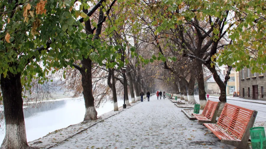 treelined promenade by a river covered with a light dusting