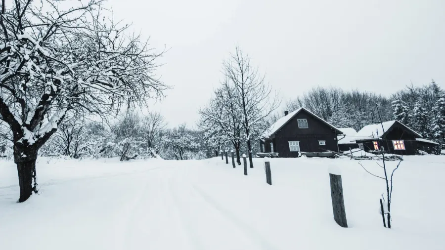 trees covered with white snow and wooden houses in carpathian