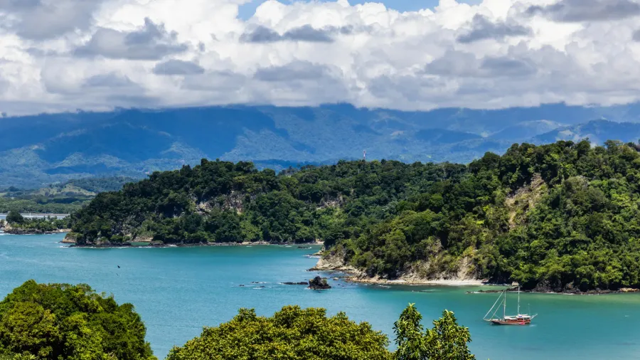 trees sea and mountains manuel antonio costa rica