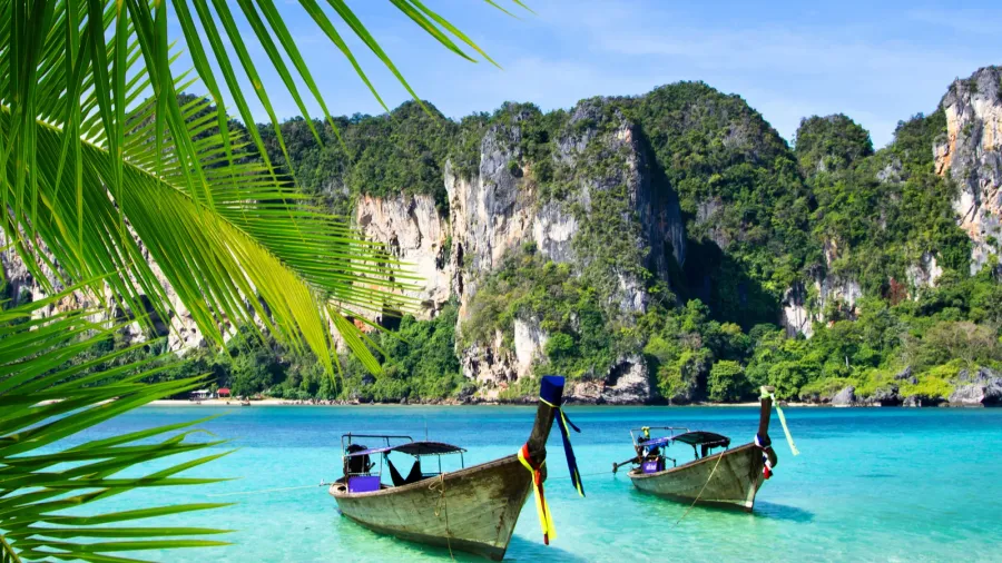 tropical beach