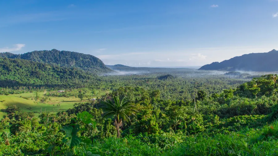 tropical samoa