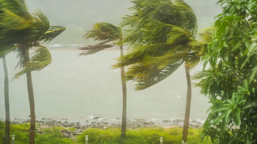 tropical storm heavy rain and high winds in tropical climates