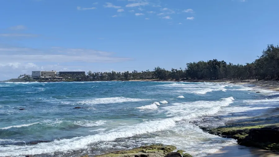 turtle bay oahu island north shore hawaii
