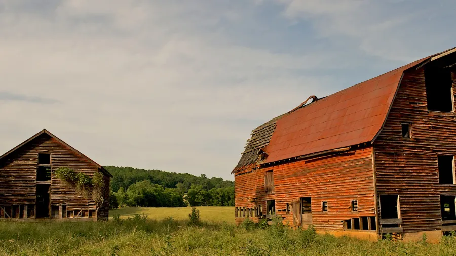 two old abandoned barns in the country