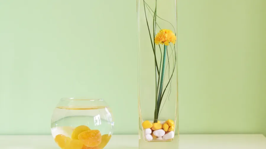 two vases of transparent glass on a green background