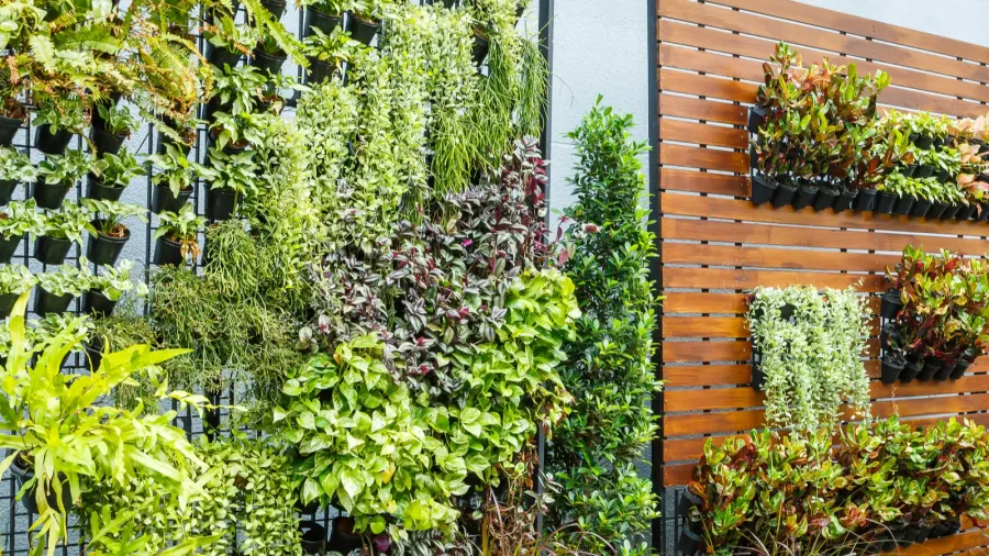 vertical garden
