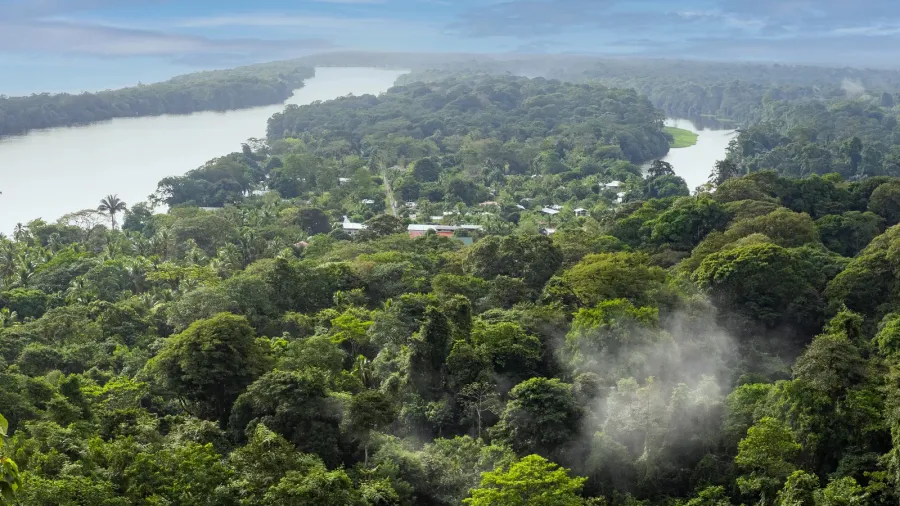 view from above on the watershed of tortuguero river costa