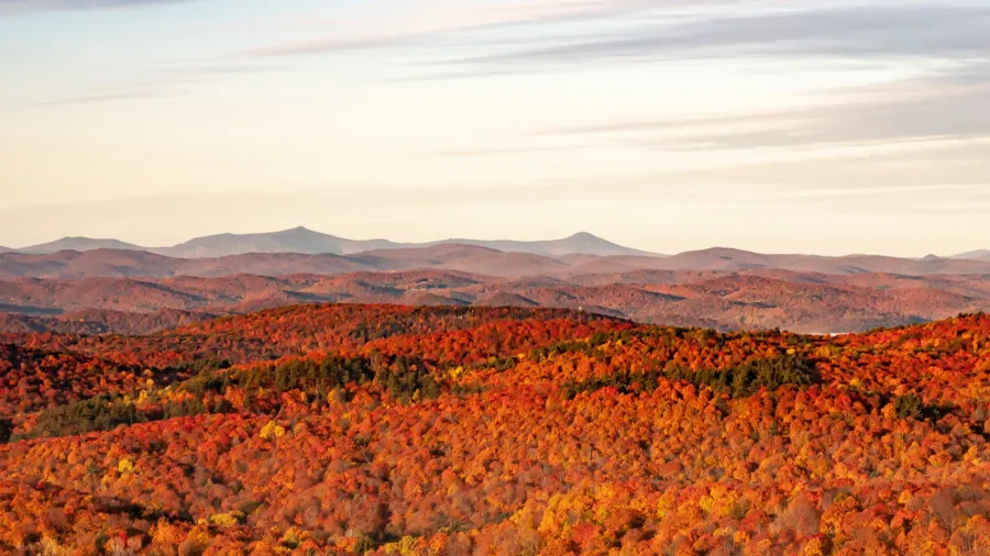 view from gile mountain fire tower during autumn