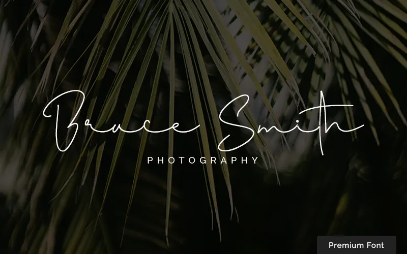 signature style font for logo design