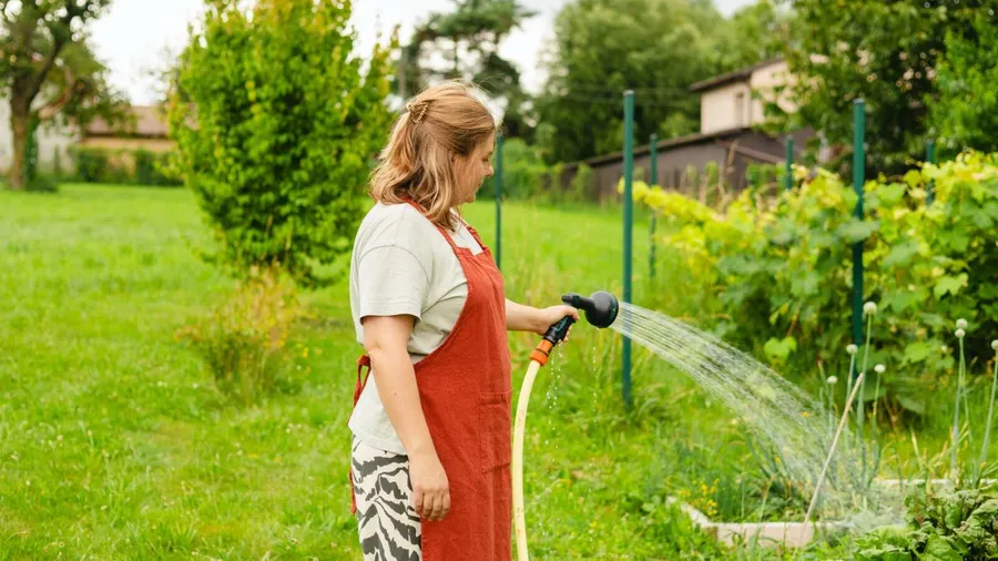 A woman watering a lush green garden with a hose.