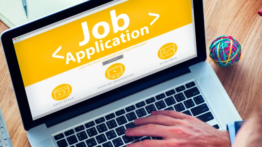 web designer and office design  vacancy concepts