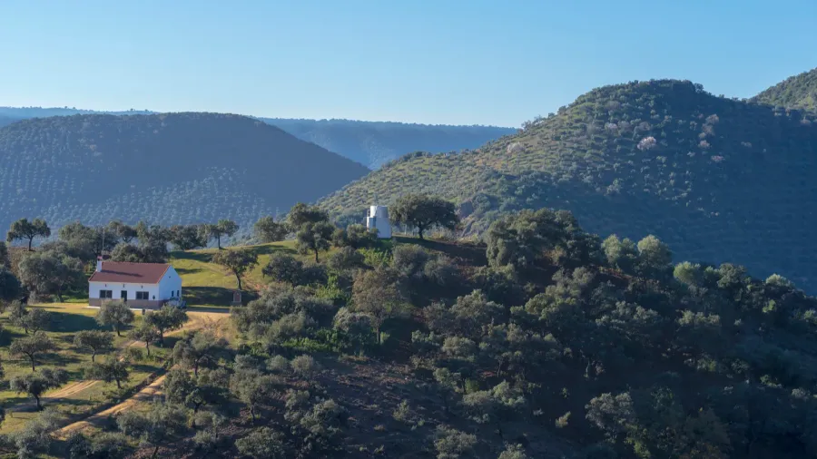white house on a hill in