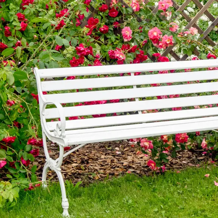 Genius Garden Decor Ideas to Try This Spring