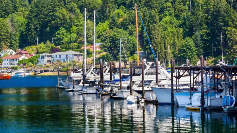 white sailboats marina reflection gig harbor washington state