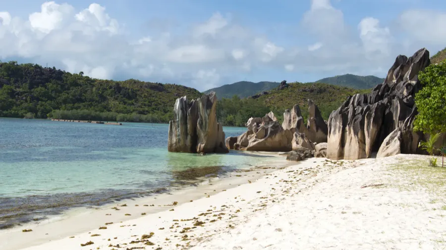white sandy beach in seychelles denis private island indian ocean