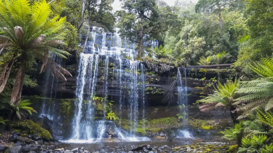wide view of russell falls at mt field national park