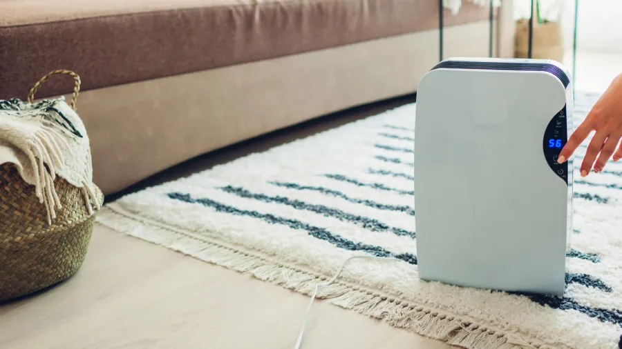 woman turns dehumidifier on using touch panel at home modern