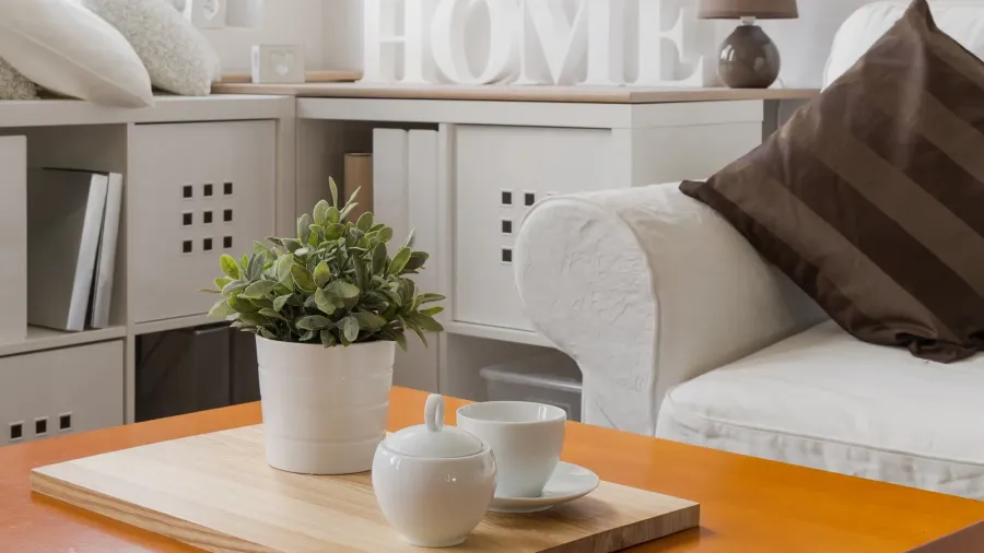 A living room interior with cozy sofa, pillows, and a wooden coffee table with tea cup and a small potted plant.