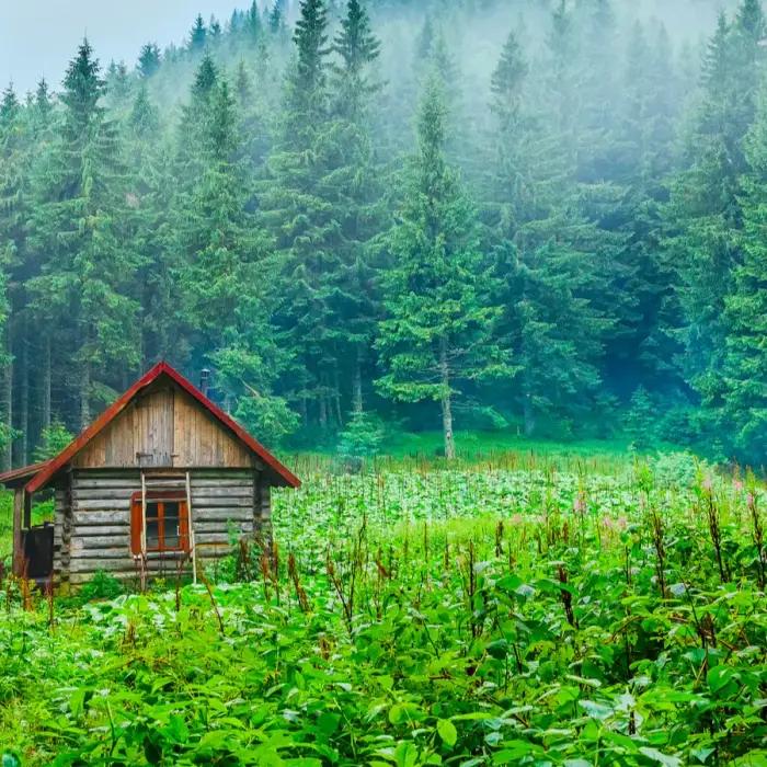 Nature-filled destinations loved by eco-conscious stars