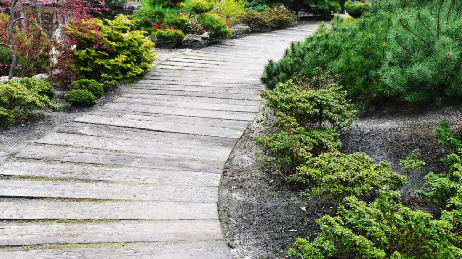 wooden walking path