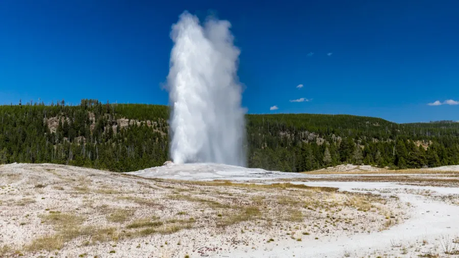 Old Faithful Geyser in Yellowstone National Park, USA.