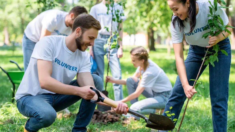 young volunteers planting trees in green park together
