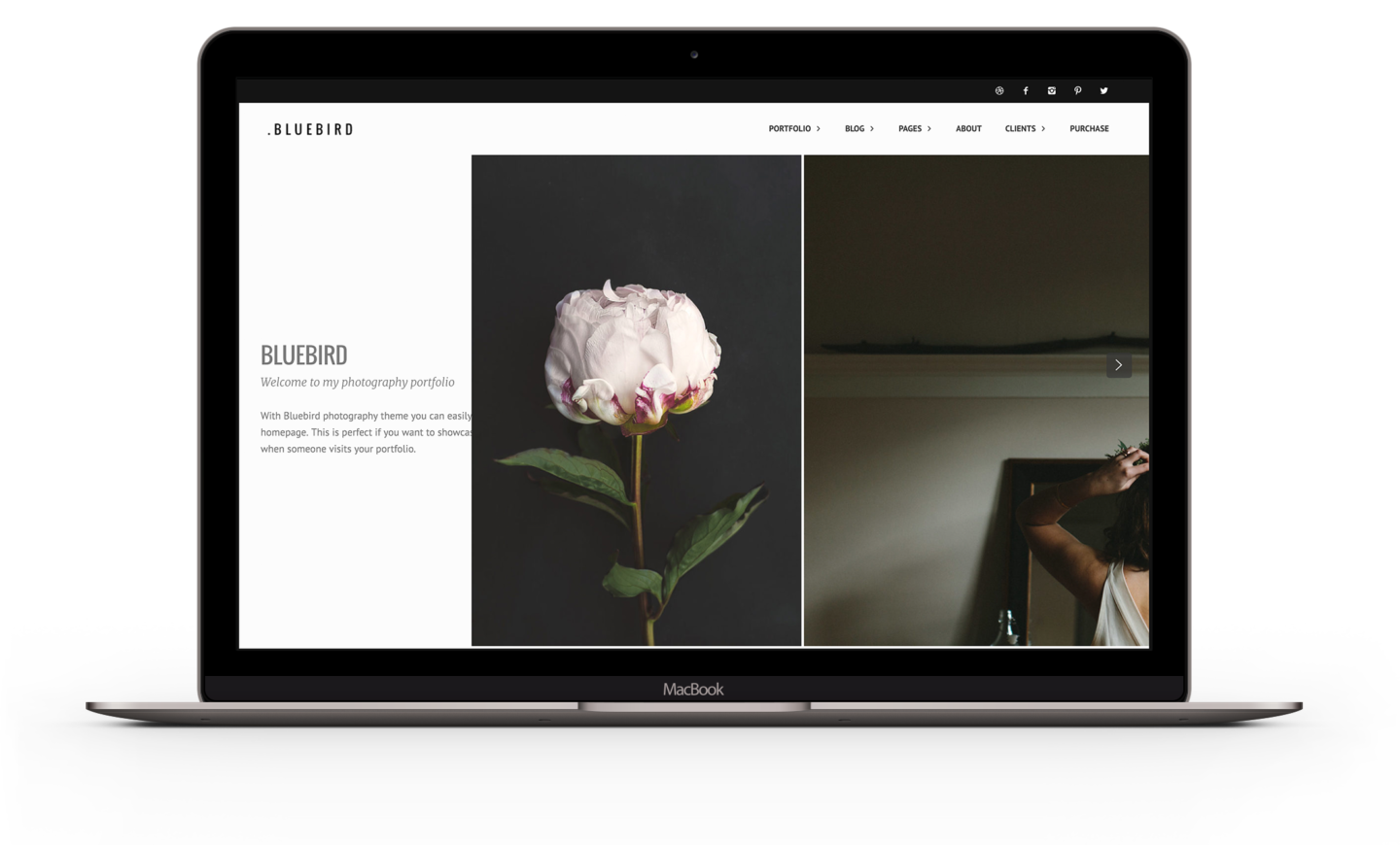 Bluebird - WordPress Portfolio theme for Photographers