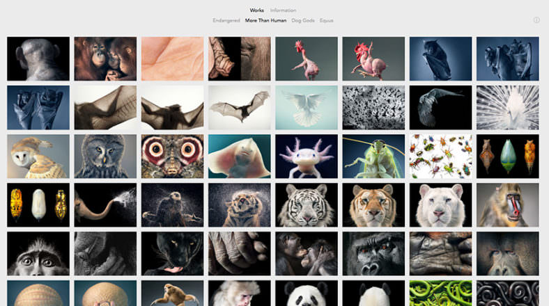 26 Photography Portfolio Examples For Inspiration - Colormelon